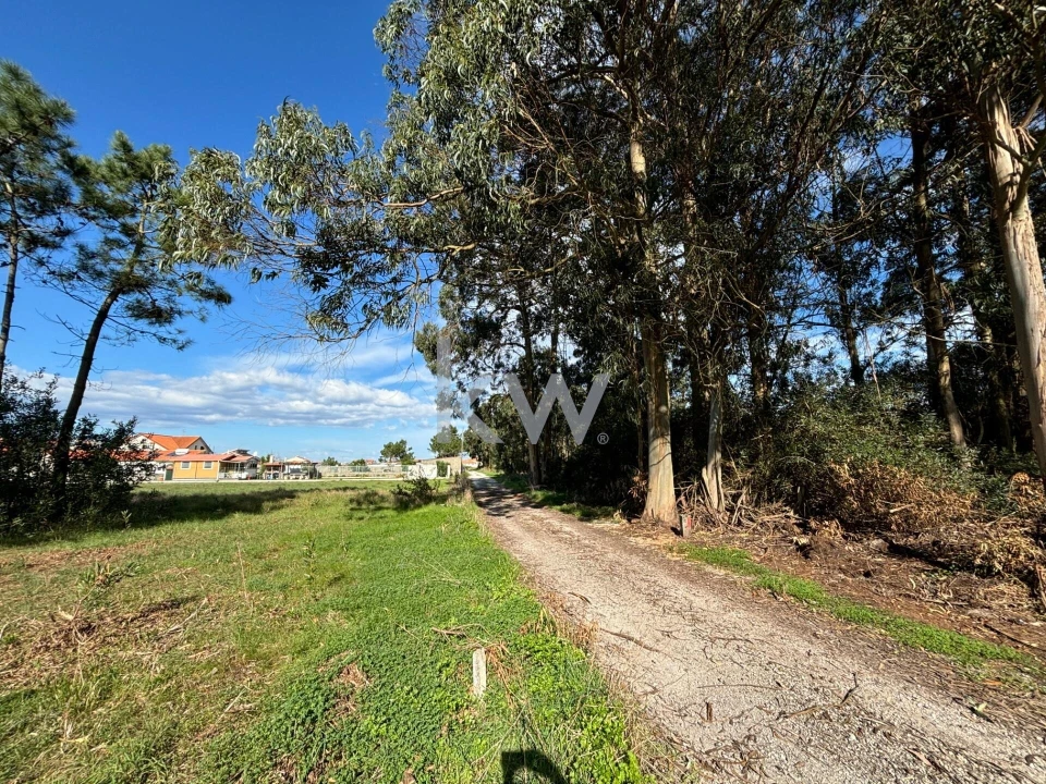 Terreno para Venda em Gafanha da Encarnação Foto 16