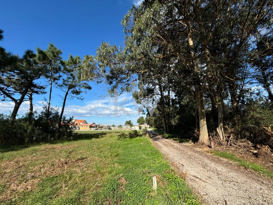 Terreno para Venda em Gafanha da Encarnação Foto 15
