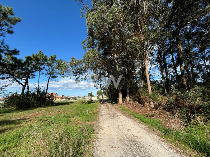 Terreno para Venda em Gafanha da Encarnação Foto 12