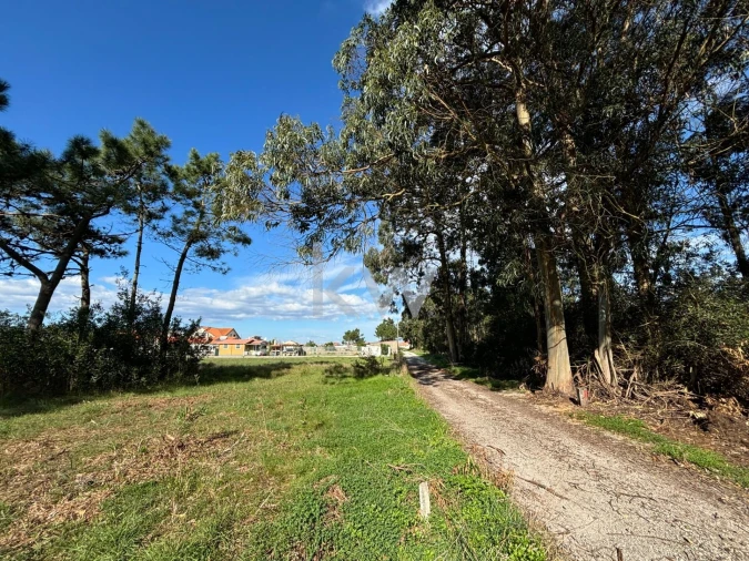 Terreno para Venda em Gafanha da Encarnação Foto 15