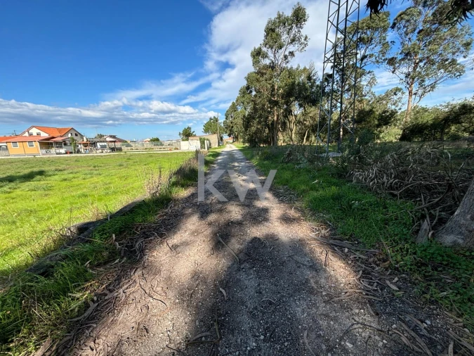 Terreno para Venda em Gafanha da Encarnação Foto 17