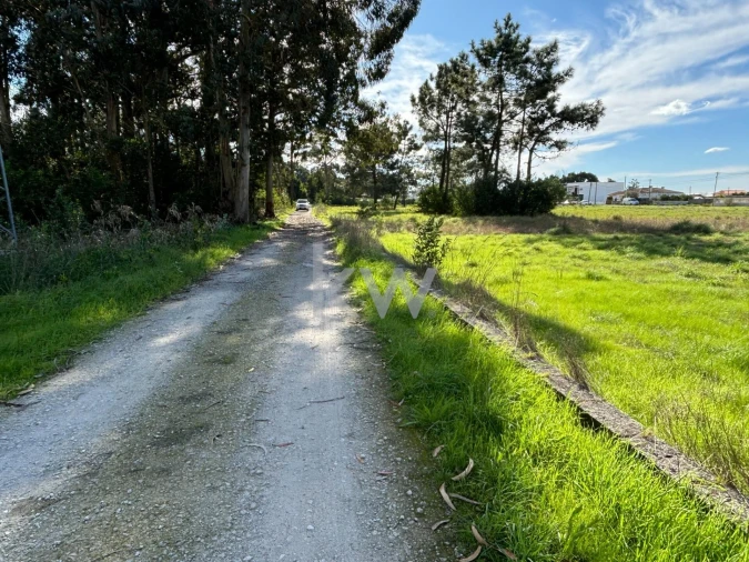Terreno para Venda em Gafanha da Encarnação Foto 20