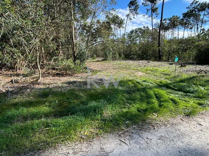 Terreno para Venda em Gafanha da Encarnação Foto 11