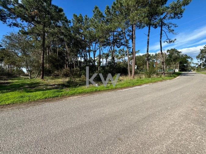 Terreno para Venda em Gafanha da Encarnação Foto 9