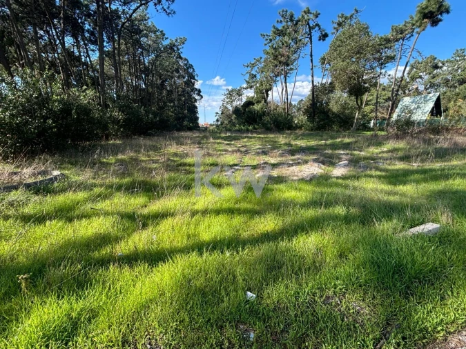 Terreno para Venda em Gafanha da Encarnação Foto 6