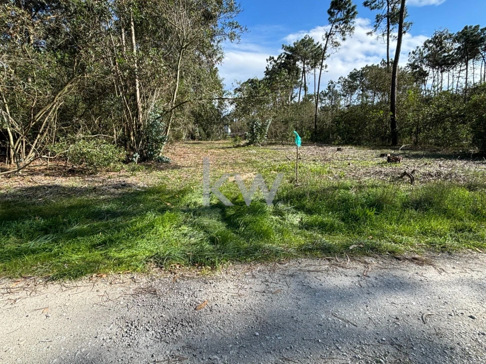 Terreno para Venda em Gafanha da Encarnação Foto 10