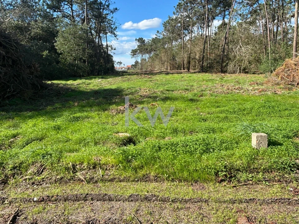Terreno para Venda em Gafanha da Encarnação Foto 1