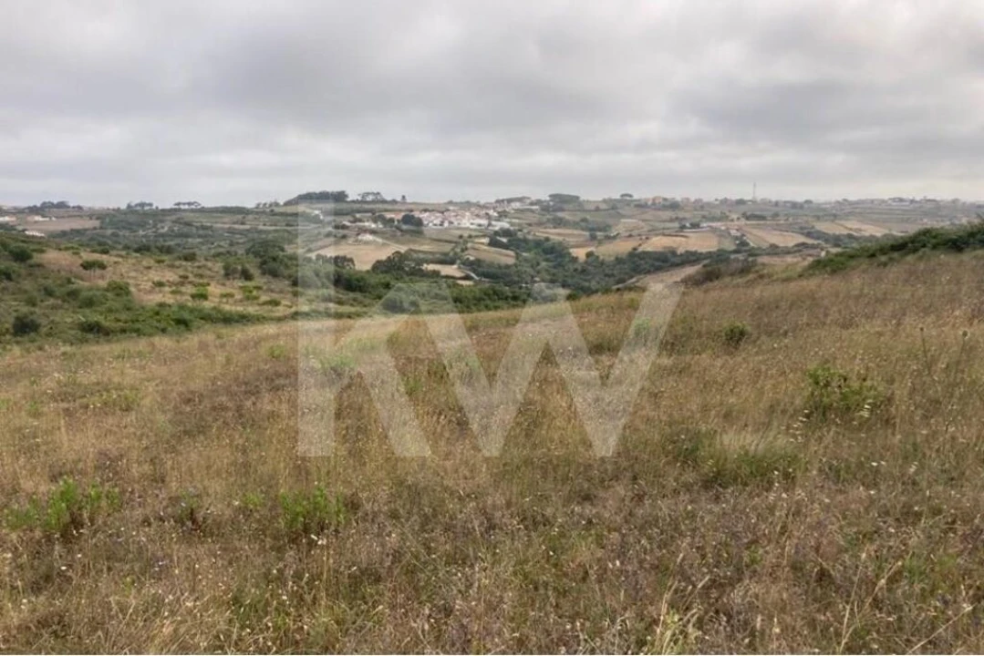 Terreno para Venda em Santa Maria e São Miguel, São Martinho, São Pedro Penaferrim Foto 7