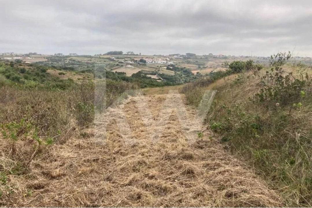 Terreno para Venda em Santa Maria e São Miguel, São Martinho, São Pedro Penaferrim Foto 3