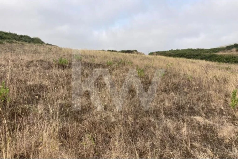 Terreno para Venda em Santa Maria e São Miguel, São Martinho, São Pedro Penaferrim Foto 6