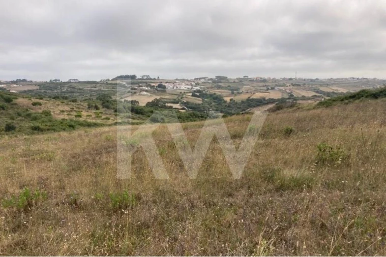 Terreno para Venda em Santa Maria e São Miguel, São Martinho, São Pedro Penaferrim Foto 7