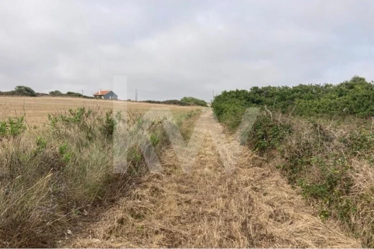 Terreno para Venda em Santa Maria e São Miguel, São Martinho, São Pedro Penaferrim Foto 1