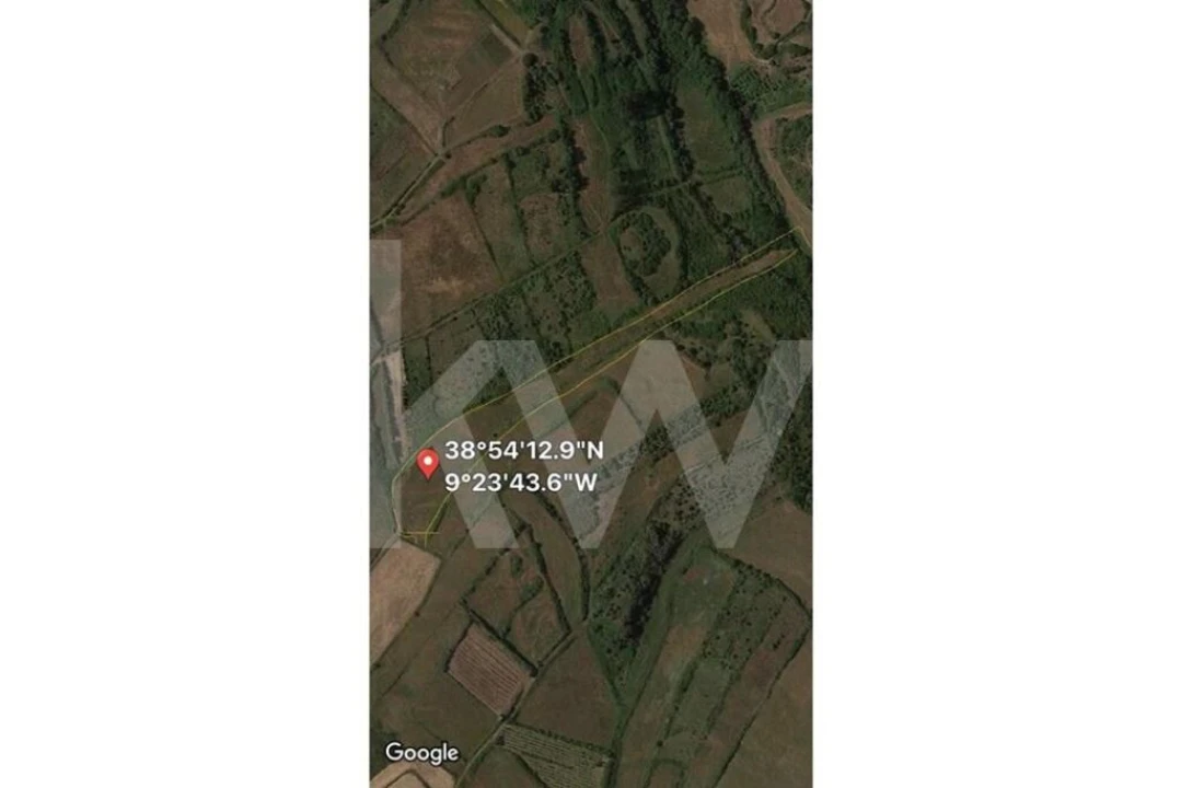 Terreno para Venda em Santa Maria e São Miguel, São Martinho, São Pedro Penaferrim Foto 4