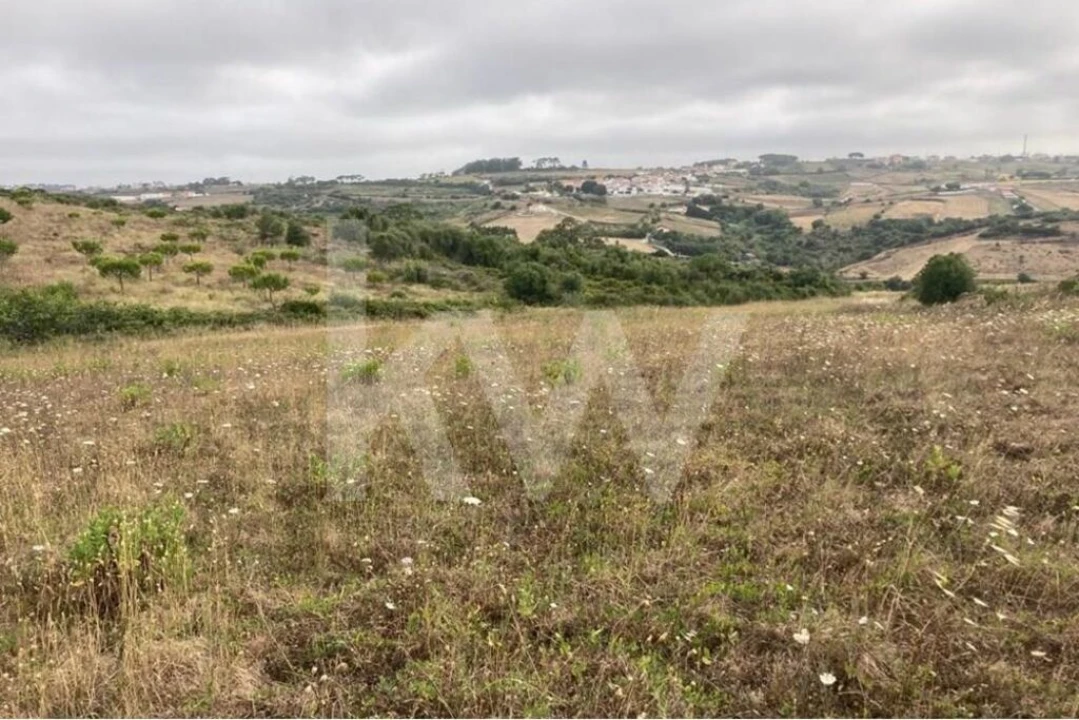 Terreno para Venda em Santa Maria e São Miguel, São Martinho, São Pedro Penaferrim Foto 2