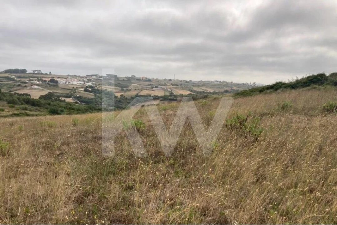 Terreno para Venda em Santa Maria e São Miguel, São Martinho, São Pedro Penaferrim Foto 5