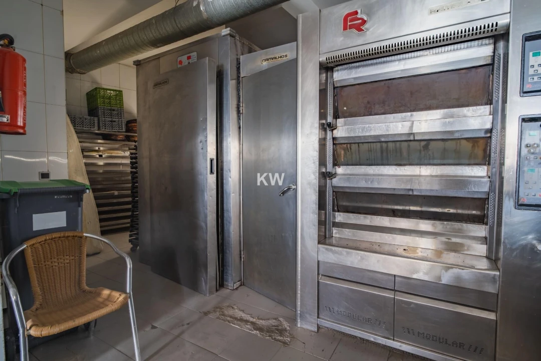 Negócio para Venda em Canedo, Vale e Vila Maior Foto 14