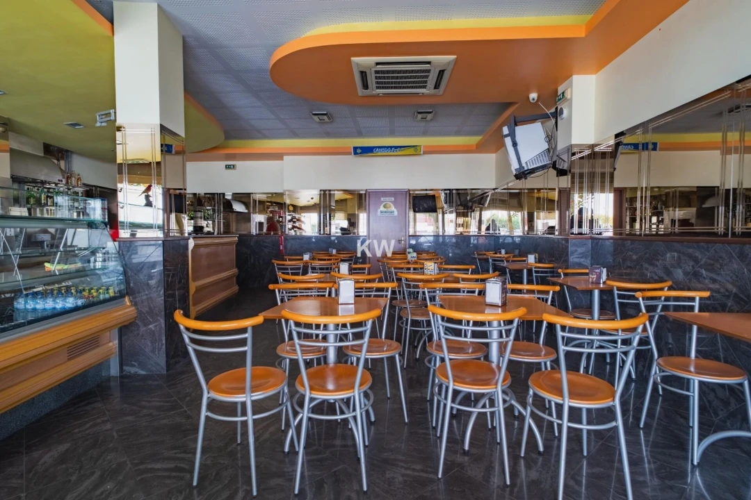 Negócio para Venda em Canedo, Vale e Vila Maior Foto 1