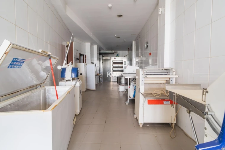 Negócio para Venda em Canedo, Vale e Vila Maior Foto 11