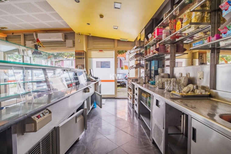 Negócio para Venda em Canedo, Vale e Vila Maior Foto 4