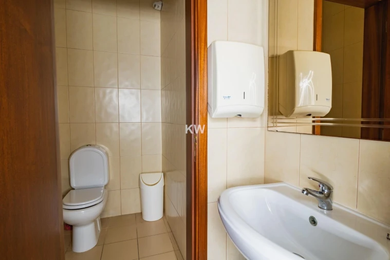 Negócio para Venda em Canedo, Vale e Vila Maior Foto 18