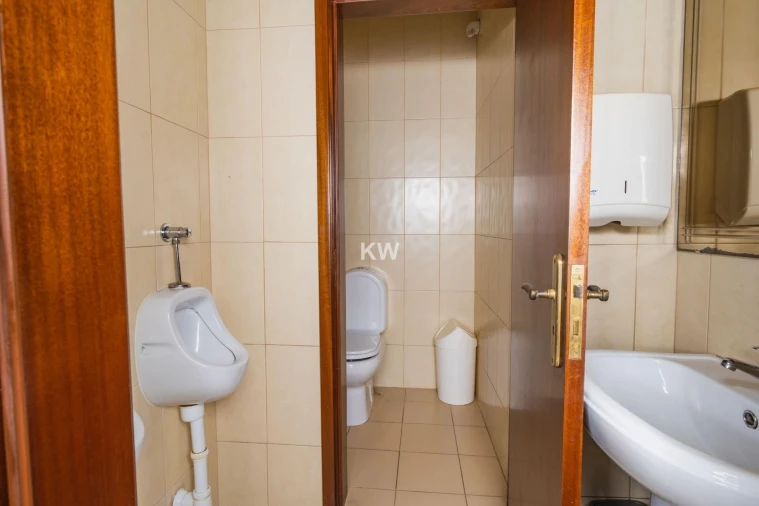 Negócio para Venda em Canedo, Vale e Vila Maior Foto 17