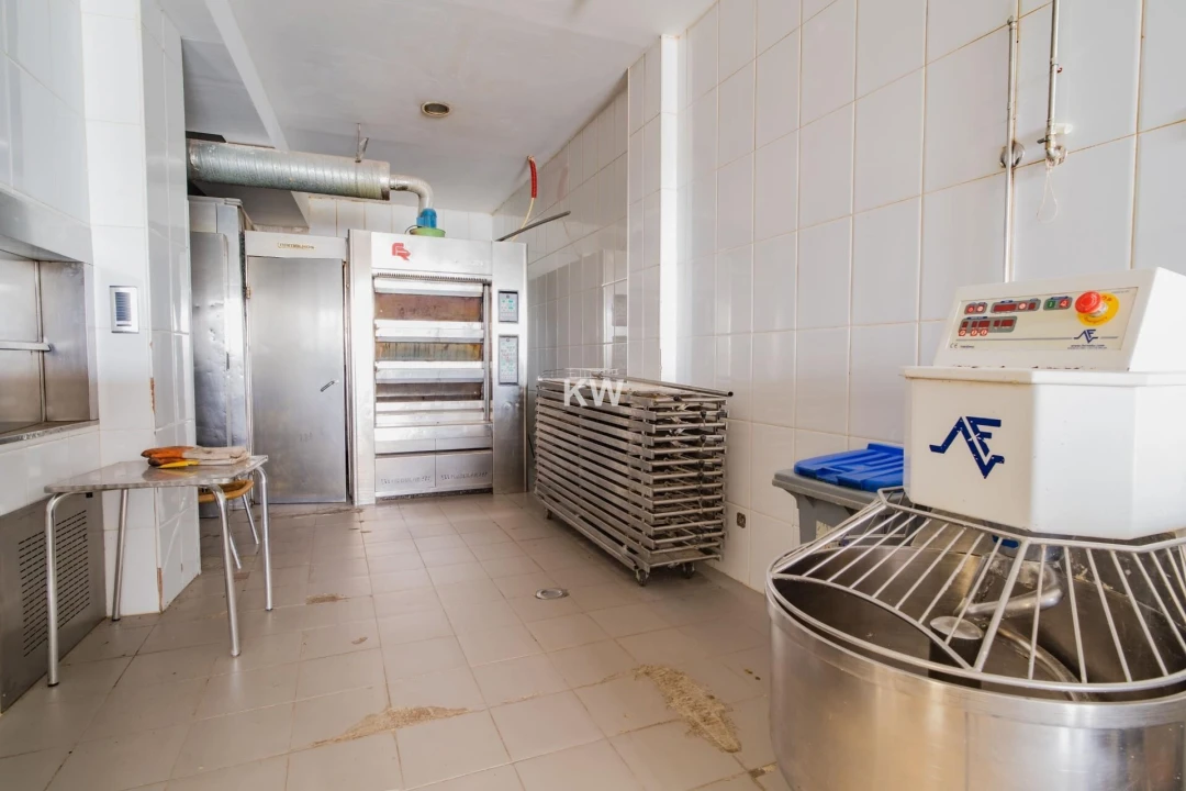 Negócio para Venda em Canedo, Vale e Vila Maior Foto 13