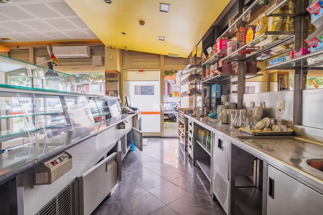 Negócio para Venda em Canedo, Vale e Vila Maior Foto 4