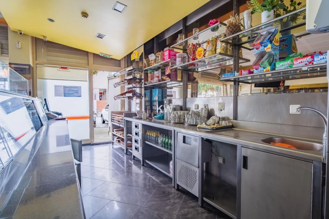 Negócio para Venda em Canedo, Vale e Vila Maior Foto 3