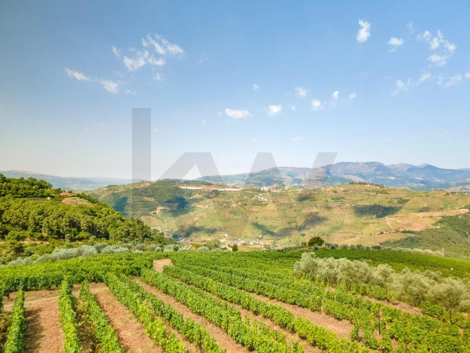 Quinta T8 para Venda em Abaças Foto 27