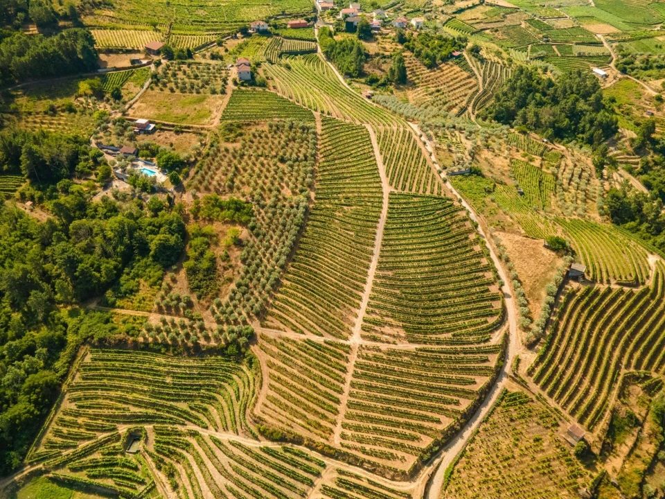 Quinta T8 para Venda em Abaças Foto 18