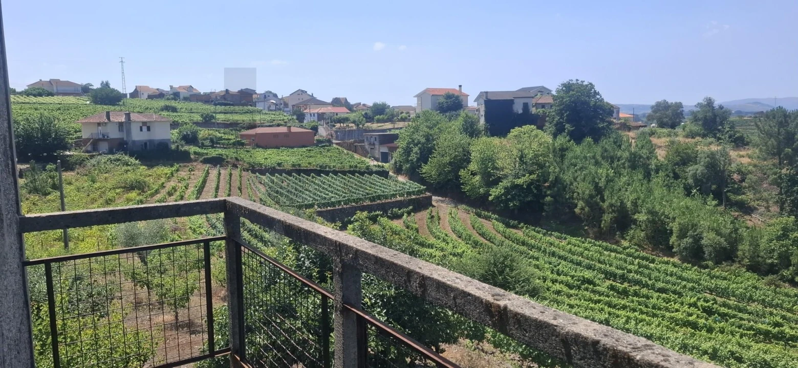 Quinta T8 para Venda em Abaças Foto 4