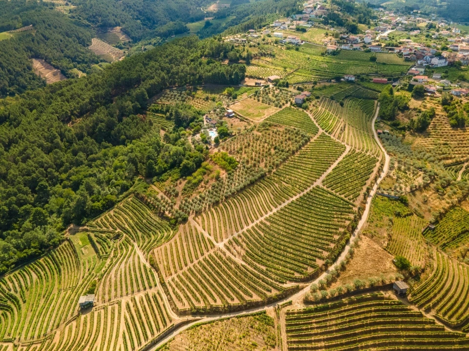 Quinta T8 para Venda em Abaças Foto 19