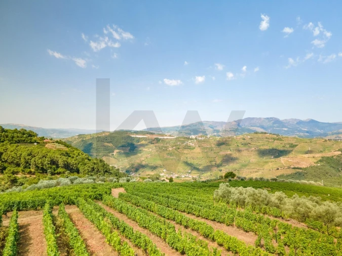 Quinta T8 para Venda em Abaças Foto 27
