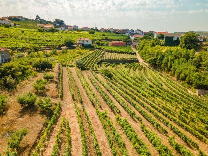 Quinta T8 para Venda em Abaças Foto 24