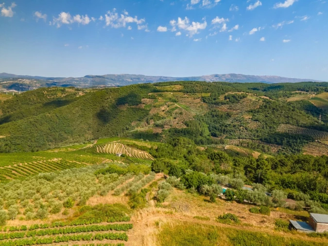 Quinta T8 para Venda em Abaças Foto 16