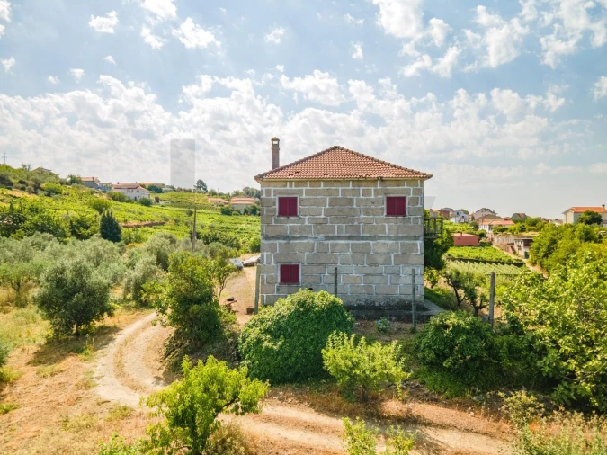 Quinta T8 para Venda em Abaças Foto 8
