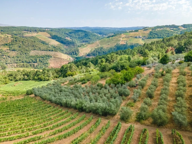 Quinta T8 para Venda em Abaças Foto 14