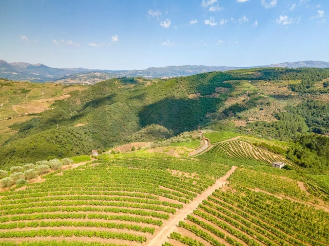 Quinta T8 para Venda em Abaças Foto 22