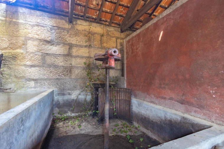 Quinta T8 para Venda em Abaças Foto 7