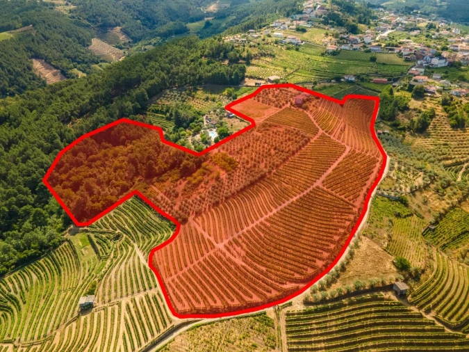 Quinta T8 para Venda em Abaças Foto 15