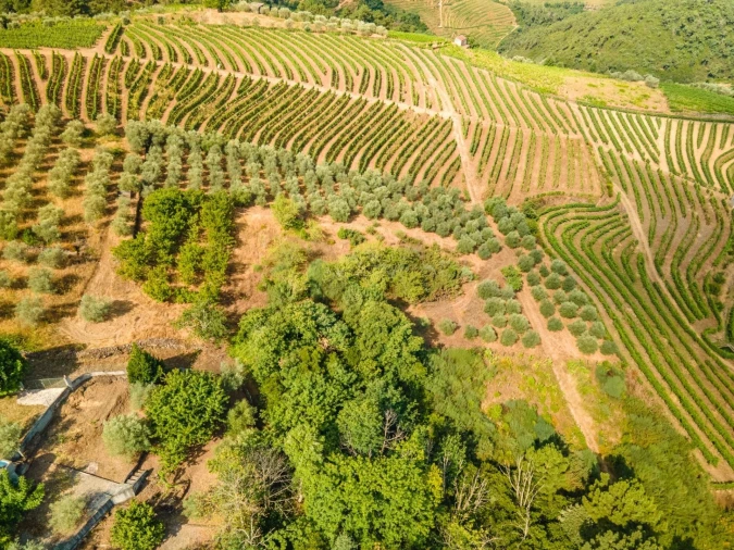 Quinta T8 para Venda em Abaças Foto 17