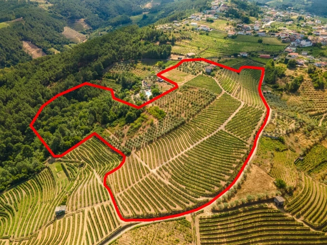 Quinta T8 para Venda em Abaças