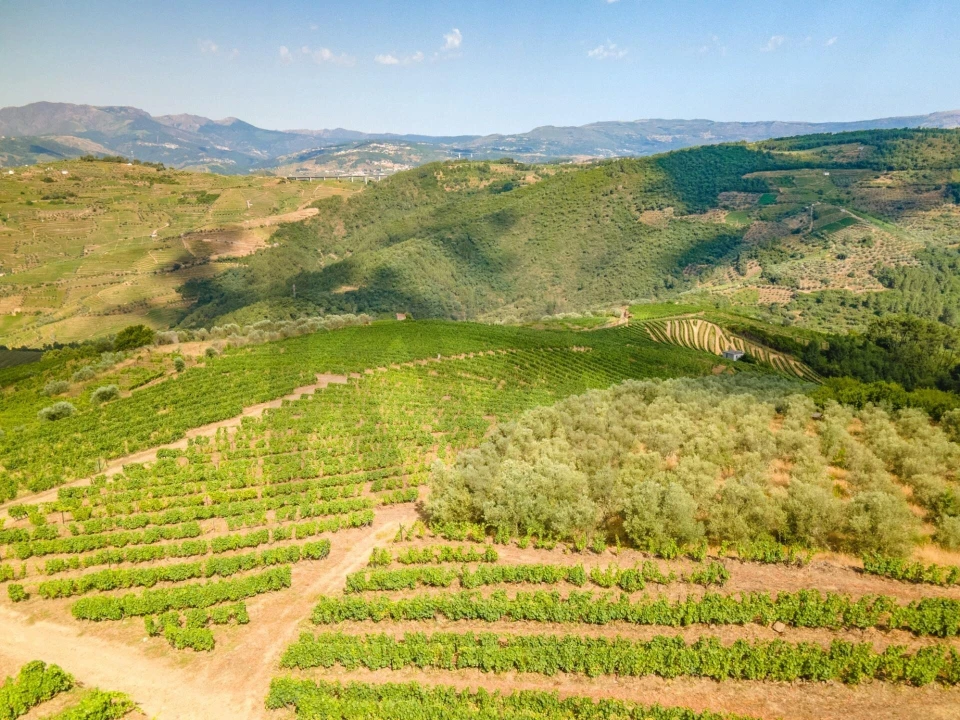 Quinta T8 para Venda em Abaças Foto 25