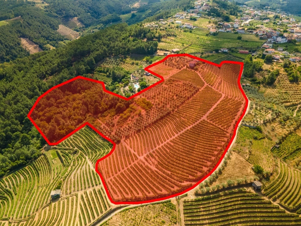 Quinta T8 para Venda em Abaças Foto 15