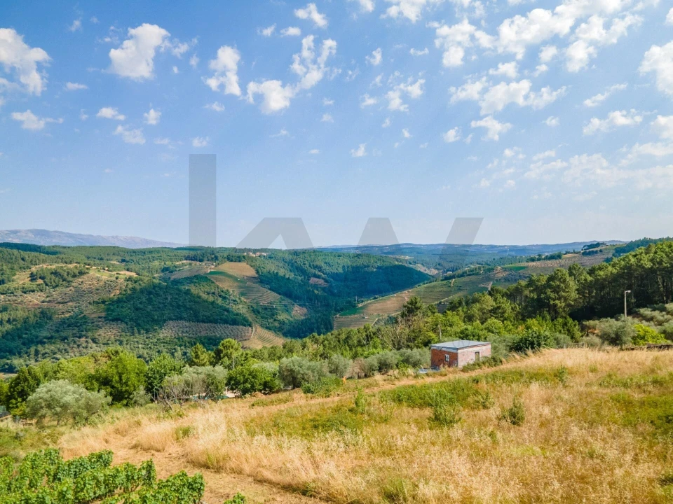 Quinta T8 para Venda em Abaças Foto 29
