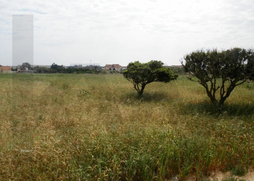 Terreno para Venda em Alcochete Foto 2