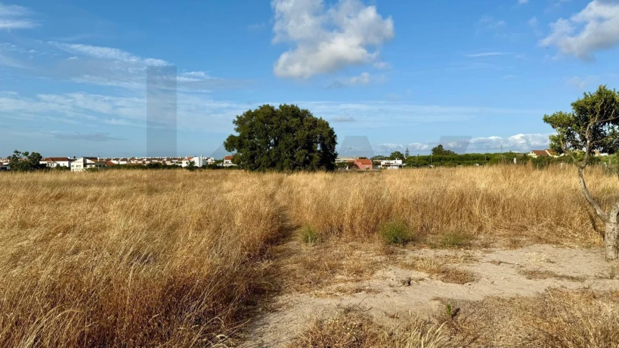 Terreno para Venda em Alcochete Foto 14