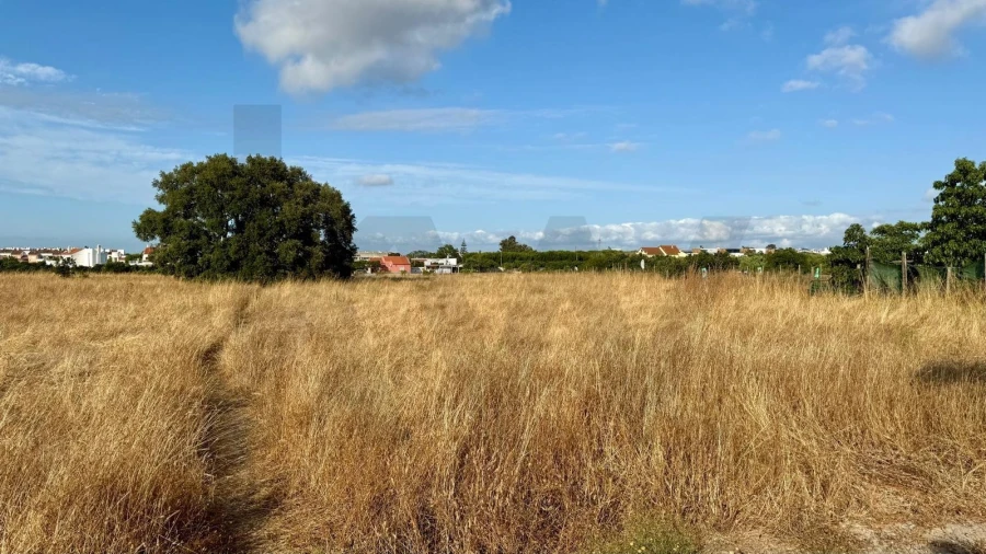 Terreno para Venda em Alcochete Foto 9