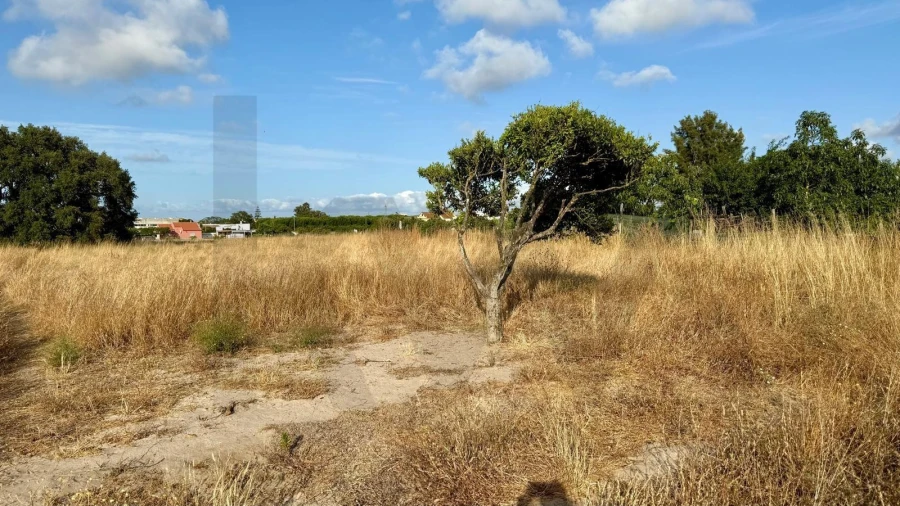Terreno para Venda em Alcochete Foto 15