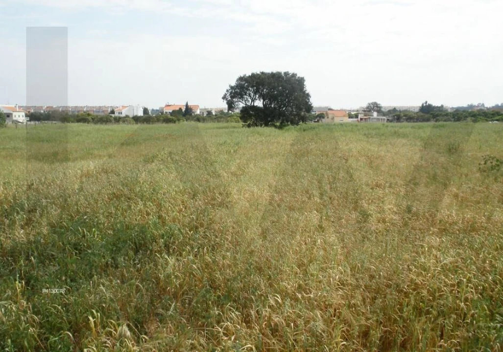 Terreno para Venda em Alcochete Foto 1